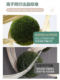 Guling Yisheng Spherical Plant Hanging Ceiling Decoration Pendant, Simulated Green Plant Moss Ball, Indoor Landscape Window Display