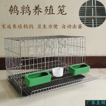 Household quail cage laying eggs quail breeding cage galvanized metal cage automatic egg health and convenience