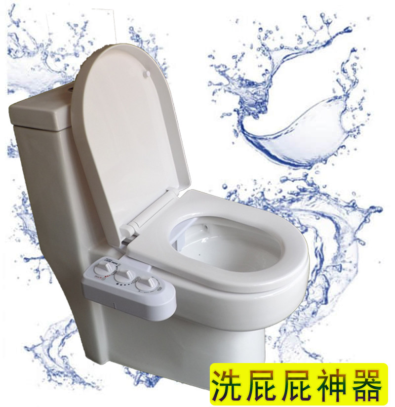 The hedoner doesn't have to be motor-mechanical cold and hot water washers to wash your ass and clean the toilet flushing out of the toilet.