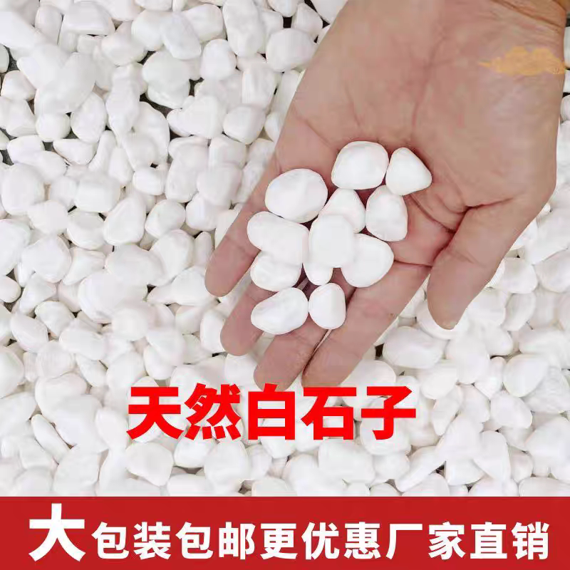 Yunnan White Pebbles, Large Stones, Small White Stones for Garden Paving, Landscape Gravel, White Gravel for Dry Landscape Gardens Yunnan White Pebbles, Large Stones, Small White Stones for Garden Paving, Landscape Gravel, White Gravel for Dry Landscape Gardens