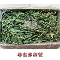 (Little Rabbit George Fat Beep) 2022 dried chicory rabbit dragon cat health grass chicory grass drying fragrant green
