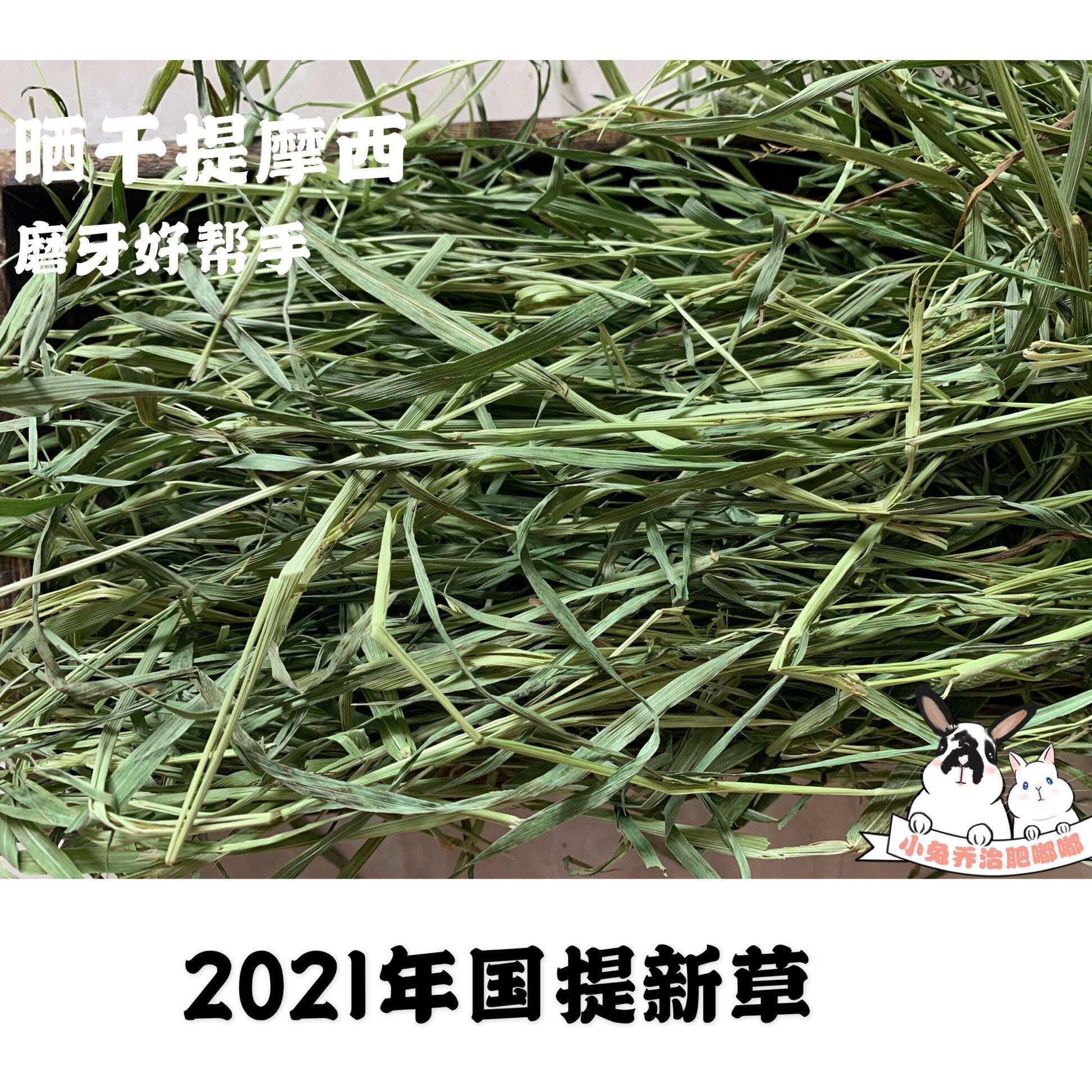 (Little Rabbit George Fat Beep) 2021 New grass sundry country TiMoses grass Rabbit grindstone grassy grass 500g