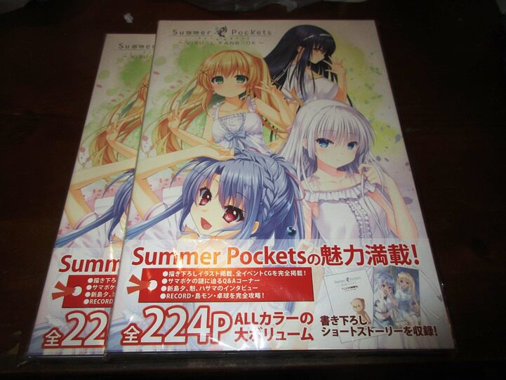 Summer Pockets VISUAL FANBOOK Set Collection of KEY Summer Pockets