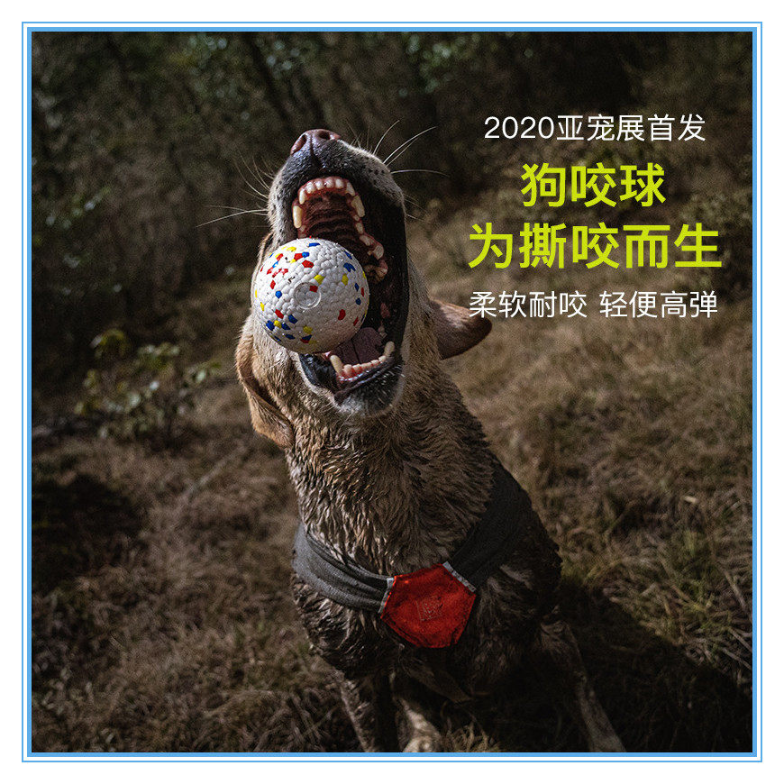 Wakanda same factory dog ​​molar toy ball bite-resistant ball ETPU high elastic ultra-light floating water tour border herd