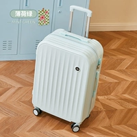 【Более толстый】 Зеленая мята/одиночная коробка