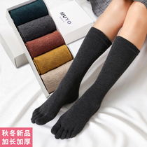 5 Double Dress Autumn Winter Five Finger Socks Lady Pure Cotton Medium-high Silo Pile Socks Toe College Wind Female Full Cotton Long Barrel