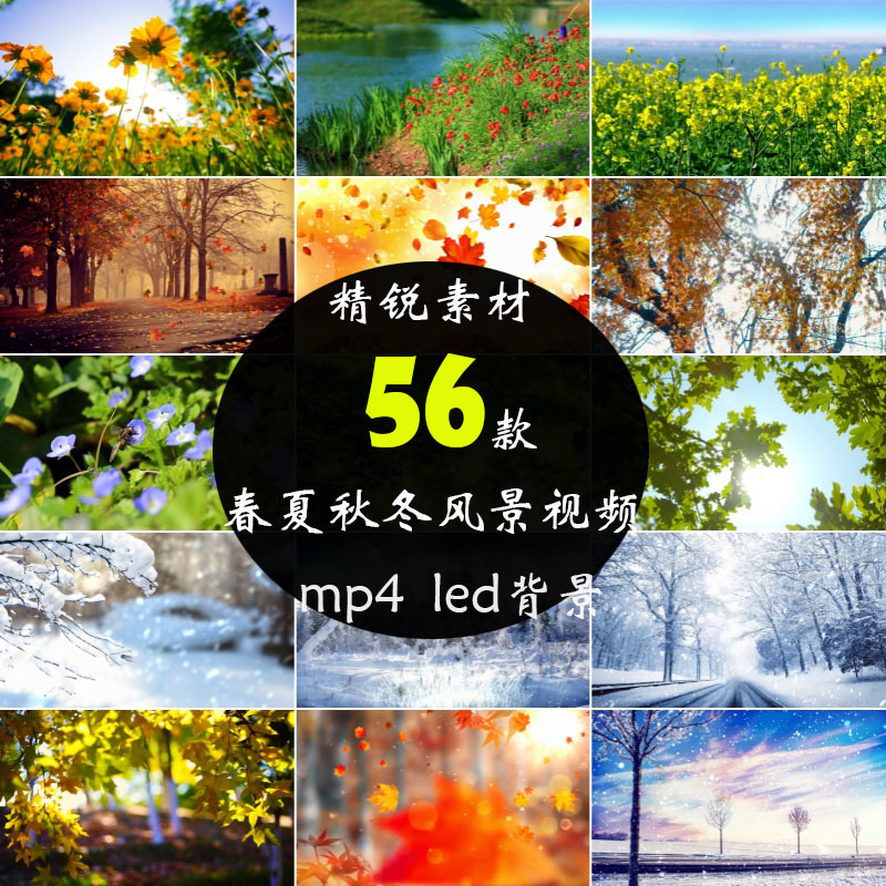 Spring, Summer, Autumn, and Winter Background Changes, Seasonal Scenery, Led Large Screen, Douyin Self-Media Short Video Editing Materials