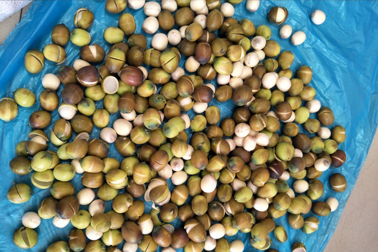 고급스러운느낌