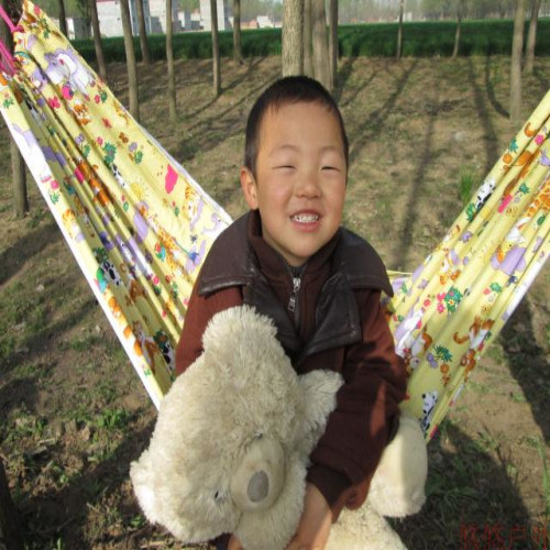 Printed hammock direct sale Oxford cloth hammock small animal pattern outdoor indoor hammock swing leisure hammock