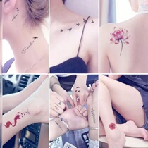 Tattoo Sticker Schoolgirl Waterproof Persistent Emulation Adolescent Girl Little Fresh Cherry Blossom Butterfly Letters Net Red Finger Tattoo