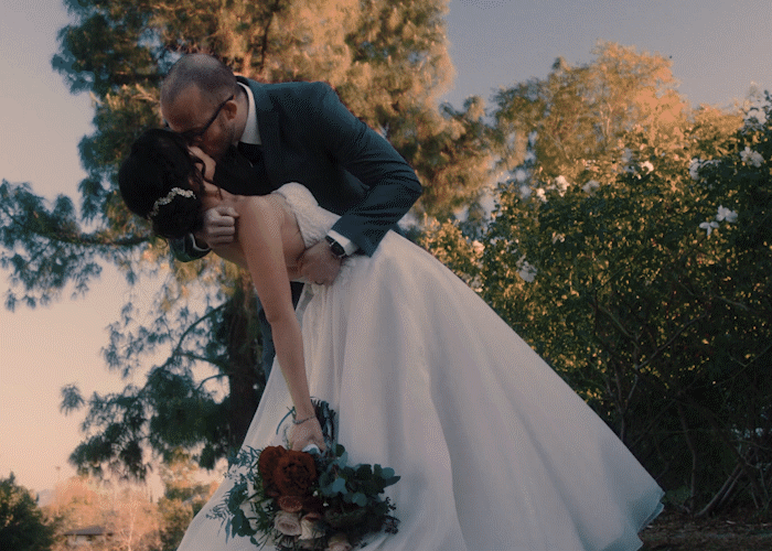 婚礼LUT调色预设10个含5种强度 专业合同时间线模板 胶片颗粒漏光4K叠加视频后期素材 TropicColour - WEDDING ESSENTIALS