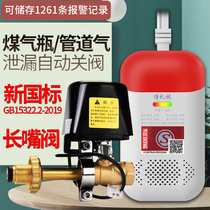 Gas leakage alarm solenoid valve combustible gas automatically cut off valve natural gas leak sirens home