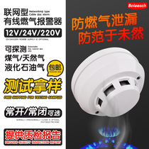 12V24V networked wired gas alarm Combustible gas detector Gas gas leak alarm