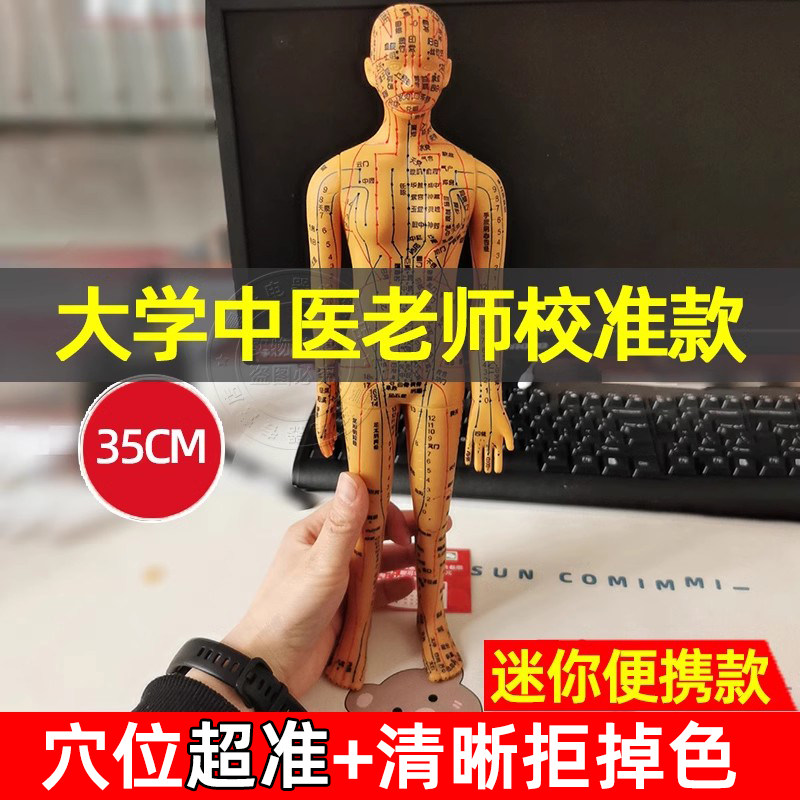 针灸人体模型真人穴位经络全身图小皮人模特十二小铜人中医人形