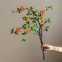 Бегония плодовая (оранжевая) 2 ветки