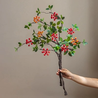 Бегония плодовая (красная) 2 ветки + Бегония плодовая (оранжевая) 1 ветка