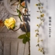 Rose Teng (Wei Huang)