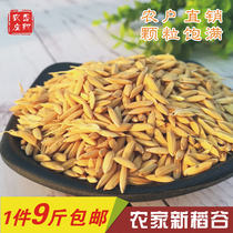 Sichuan farm rice birds feed chickens Rice rice chicken feed Pigeons pet feed with shell 9 kg