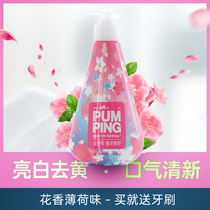 South Korea Imports LG Bamboo Salt Himalayan Powder Salt Press Type Toothpaste Cherry Blossom Whitening Floral Mint 285g