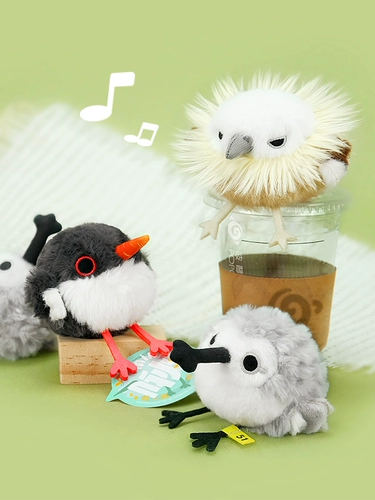 Pop Natural Mini 波 波 波 波 波 波