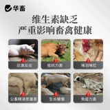 华畜 Электролитические многоразмерные зверя с витаминной свиной электролитическими говяжьими овцами, курицей, птицами, черепахами, водными продуктами отслеживают элементы