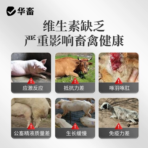 华畜 Электролитические многоразмерные зверя с витаминной свиной электролитическими говяжьими овцами, курицей, птицами, черепахами, водными продуктами отслеживают элементы