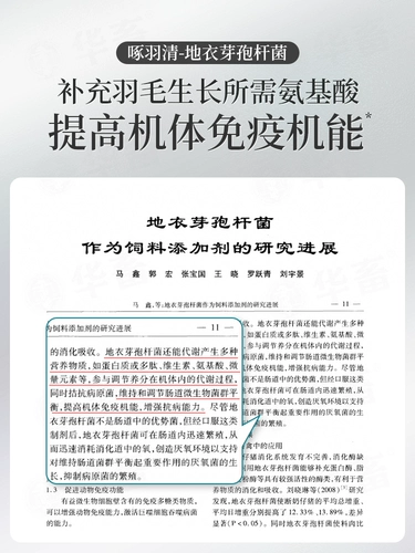 Китайские животные, клевы перья, курицы, 羽 素 素 素 素 素, курица, курица, утка, гусь, пек с птицей анальный лысый порошок, кусочек