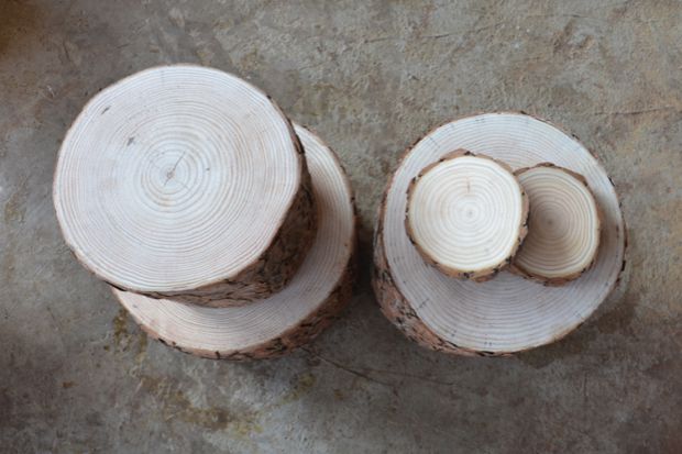 Đặc biệt cung cấp gỗ rắn trụ gỗ khắc gốc phân gỗ nhỏ trụ gỗ gốc cây cọc gỗ cây bàn cà phê phân lớn tấm khung cơ sở - Các món ăn khao khát gốc giá bàn ghế gốc cây