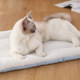 Cat Mat Dog Mat Autumn and Winter Warm and Bite Resistant Kennel Cat Litter Pet Sleeping Mat Cotton Pad Sleeping Warm Blanket