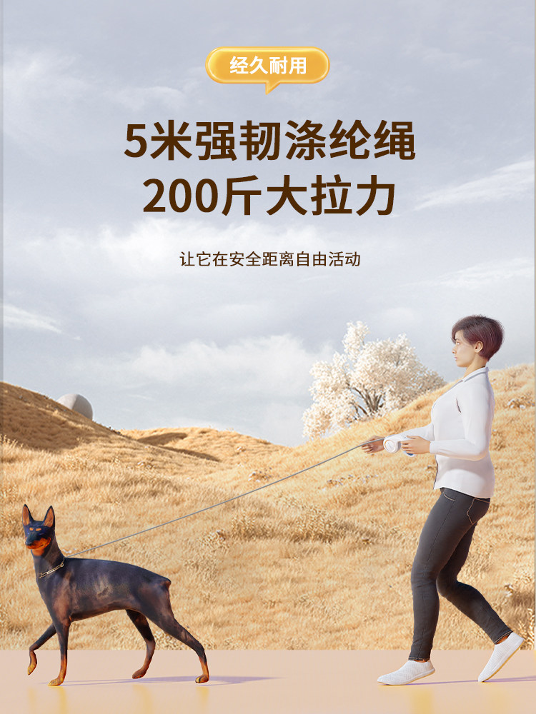 Dog Leash, Automatic Retractable Leash, Anti-Breakaway, for Small and Medium-Sized Dogs, Teddy, Corgi, Cat, Pet Supplies