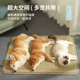 Dog Mat Four Seasons Universal Kennel Mat Summer Cooling Dog Mat Sleeping Pet Mat Cat Ice Mat