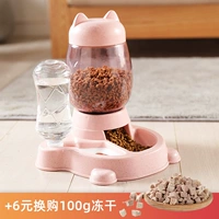 Девушка вентилятор+замороженный сухой набор