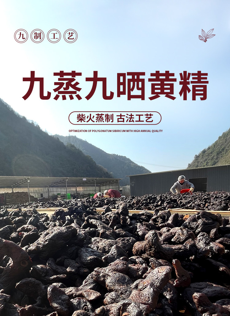 Nine Steamed Nine Sun Dried Huang Jing Fruit Polygonatum Snack 500g overview