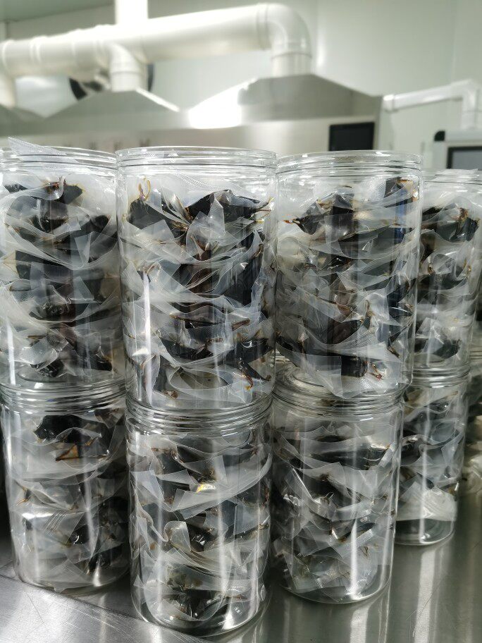 Nine steaming nine steam sunyellow fine glutinous oil lubrication, pasta meat 500g wild yellow fertility