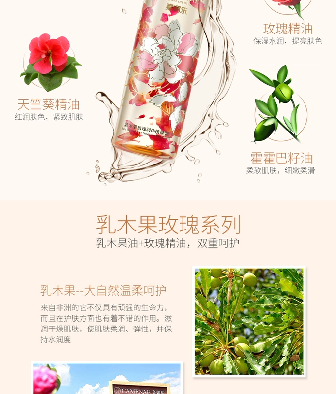 Jiamei Le Shea Rose Body Massage Oil Pushing Body Massage Massage đẩy lùi Meridian Care