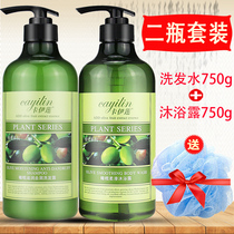 Xianwina Kailian Olive Shampoo Body Wash Shampoo Body Wash Male and Female Student Anticrash and Long-lasting fragrance