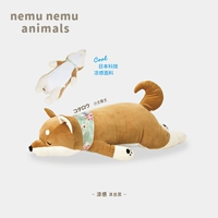 [Cool Model] Xiao Tai Shiba Inu