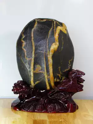 Shuichong stone Sanjiang golden stone Black bottom golden stone Qishi rough stone sightseeing stone ornaments Rhyme of spring