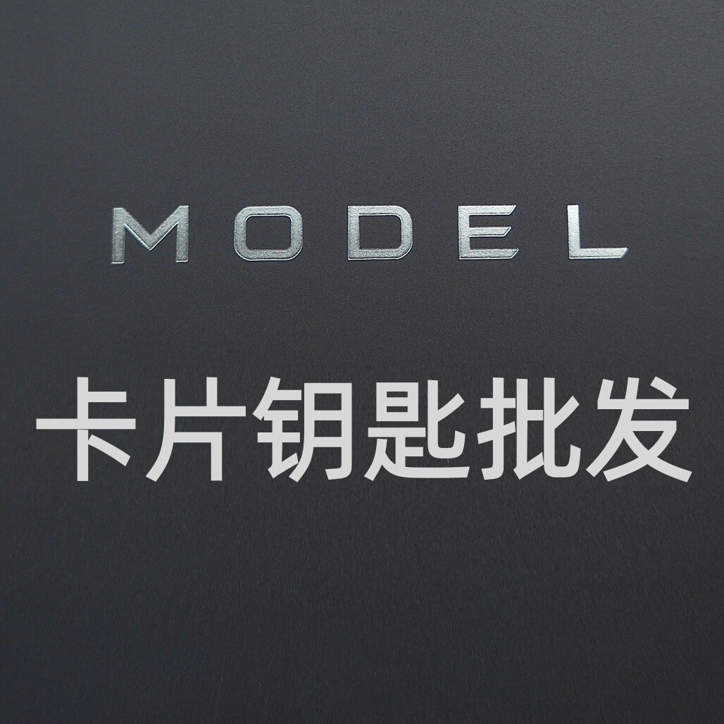 MODEL卡片钥匙批发的LOGO