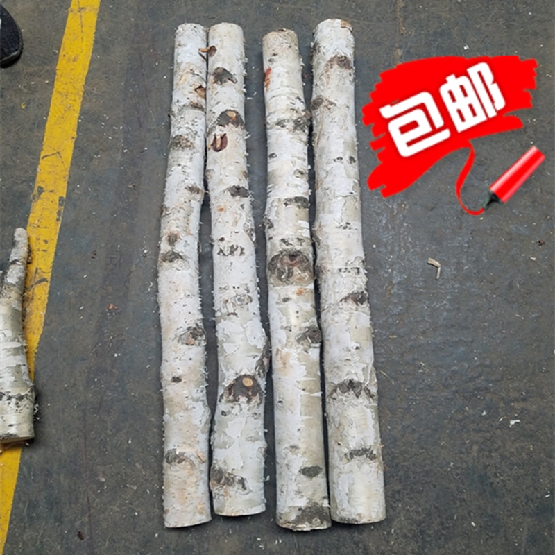 White Birch Tree Dry Log Dry White Birch Wood Section Solid Wood Decorative Tree Piers Shop Window Fabrication Wood Pile Fence Fencing Wood Stump Piles