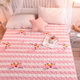 Flannel blanket bed sheet single quilt plus velvet crystal velvet milk velvet coral velvet double student dormitory