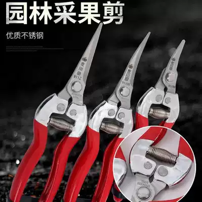 Taiwan elbow head scissors stainless steel fruit scissors picking Sawtooth scissors grape scissors orange fruit picking scissors