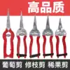 Picking scissors Stainless steel grape pepper wolfberry gardening Taiwan straight head curved head fruit scissors
