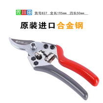 Sasakawada original imported pruning shears garden flower branches scissors garden flower scissors fruit scissors forceful scissors