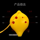 6 Конфуций Мидлин А.С. Десять детских студенческих музыкальных инструментов для начинающих школ преподаватель Смола Окарина Порт Шестой Поул