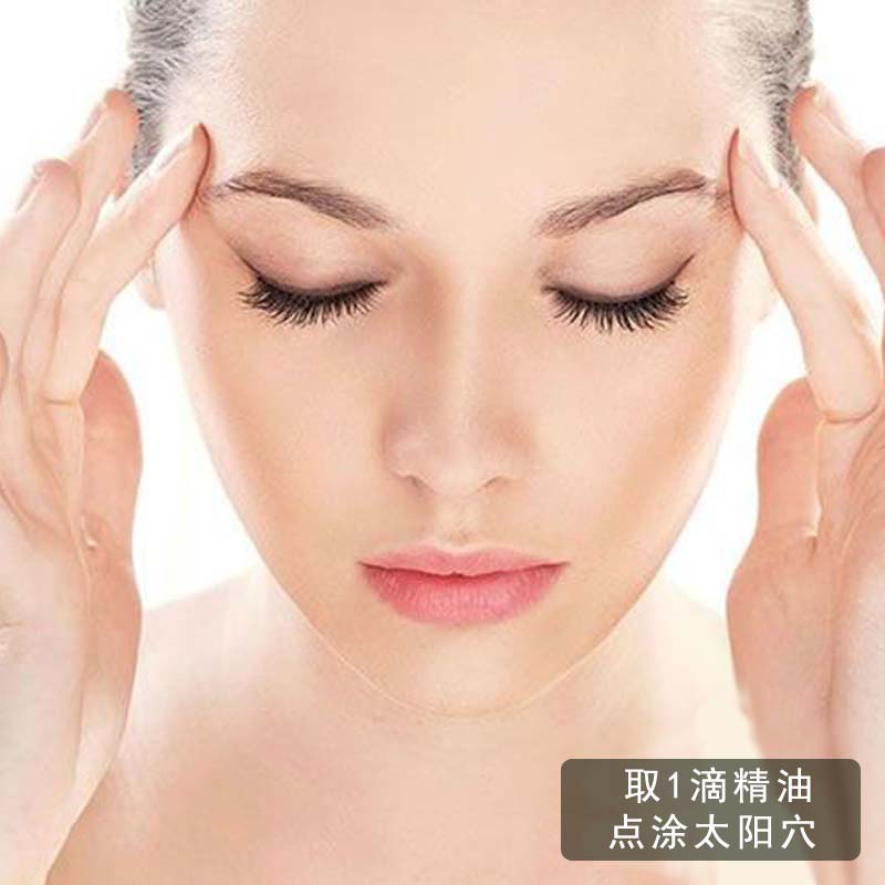 Tinh dầu bạc hà tự nhiên 500g công suất lớn lái xe làm mới chống hói dầu gội mát hương thơm chống côn trùng duy nhất - Tinh dầu điều trị tinh dầu vỏ bưởi