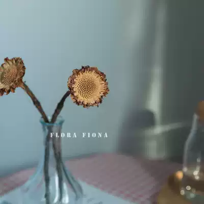 African imported dried flowers, natural plants, dried flowers, bed and breakfast decoration, flower arrangement, window decoration, flower material, real flower, sun flower