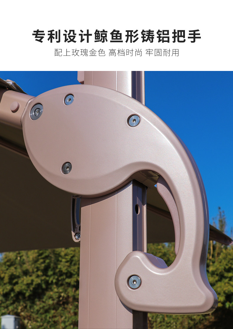 Баухиния павильон римский зонтик детали_13.jpg