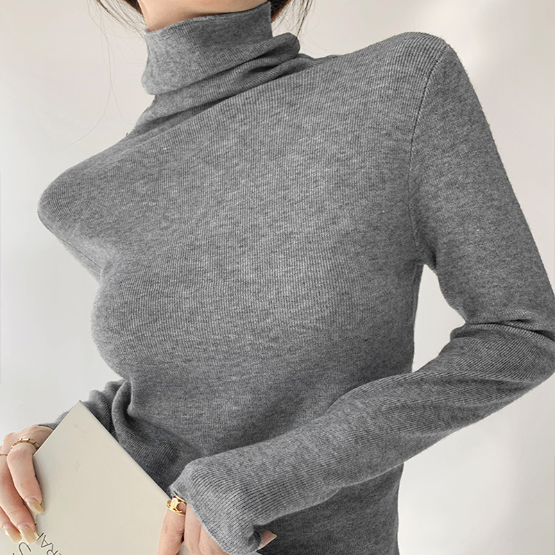 Soft glutinous glutinous pure color high collar knit undershirt woman autumn winter design sensation slim fit internal hitch head long sleeve blouses-Taobao