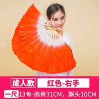 (13 взрослых костей) красная/правая рука